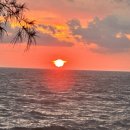 수노을주유소 이미지