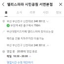 앨리스파파