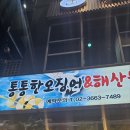 통통한오징어 이미지