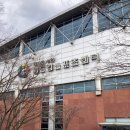 월드컵사우나 | 🏊‍♀️ 수원 월드컵스포츠센터 수영장 - 스포츠아일랜드...자유수영 후기 (스노클,오리발 사용, 사우나...