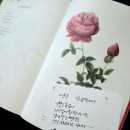 멍북