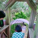 고성수석전시관 | 경남고성 공룡엑스포 서커스 마술쇼 미끄럼틀