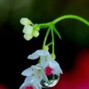 눈부신아침 이미지