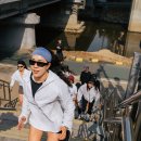 스테이배 이미지