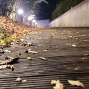 2891/ The right path will appear after erasing the mistakes. 이미지
