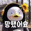 메디슨 벨 이미지