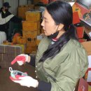 박현정농장 이미지