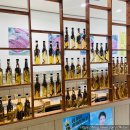 김프로한우암소