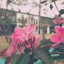 라온혜윰힐링센터 이미지