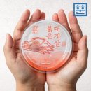 동해안 붉은 대게 이미지