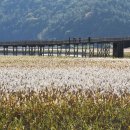 벌교읍행정복지센터 이미지