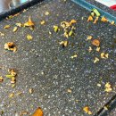 금호대패삼겹살 | *금호동 먹자골목 * 금호동맛집 *금호대패삼겹살 방문후기 *