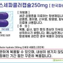 파비스팜 이미지