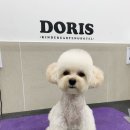 그루밍031 이미지