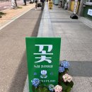 포항꽃집 포항꽃 포항어버이날 카네이션선물 화분선물 녹심 NOCKSIM