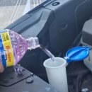 막다른 둥지 | [2월1주] 삶이라는 농담🩵