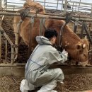 옥천동물병원 이미지