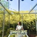 건들바위네거리 조형 | 대구 목향장미 명소 큐바이쿼트｜지금 꼭 가야 하는 봄 핫플 아이랑 꽃놀이 후기 주차 정보