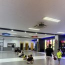 용인대류태권도장