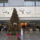 영산약국 이미지