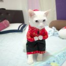 뭉치쌀롱 이미지