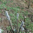 만복농장 이미지