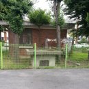 적금노인정 앞 이미지