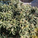 회원동139 이미지