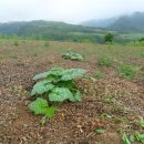 땅위의농장 이미지