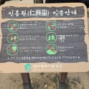 인흥마을 | 대구 가볼만한곳 매화꽃명소 인흥마을 남평문씨본리세거지