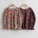 벌룬플라워 이미지