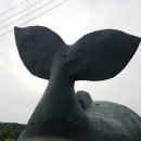 고래집 이미지