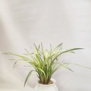 수원시 팔달구 창룡대로 이미지