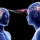 육식인생 이미지