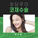 제주코 이미지