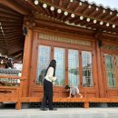 함평현대서비스 | 전남 함평 한옥펜션 추천｜아기랑 나빌레라s 1박 2일