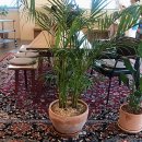 오늘은 생선구이 이미지