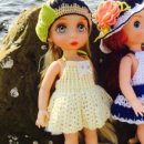 라임오렌지 이미지