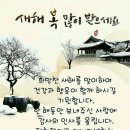 용인대 백두산 태권도 이미지