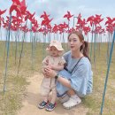 소낙스카케어롯데프리미엄아울렛파주점 | [파주-임진각평화누리공원] 임진각평화누리공원 소풍가기, 인생사진 스팟, 꿀팁 대방출! / 주차장-주차...