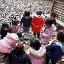 신미주2관어린이집 이미지