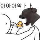 펫타팻 네이버블로그