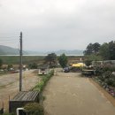 조병화농장 티스토리