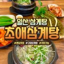 흥도로 | 일산삼계탕 맛집 초애삼계탕 여름 맞이 몸보신 후기