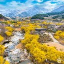 영산정기시장 이미지