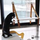 고양이 창문 해먹 펫트리움 부뚜막 설치 후기