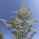 건입동 국민체육센터 앞 이미지