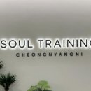 소울스크린골프 이미지