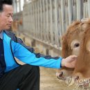 청석농장 이미지