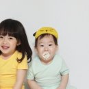 이호그린 이미지